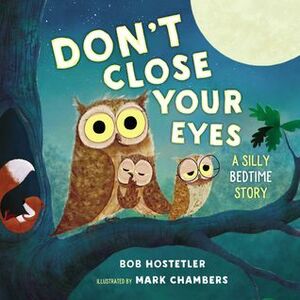 Don't Close Your Eyes: A Silly Bedtime Story by Mark Chambers, Bob Hostetler