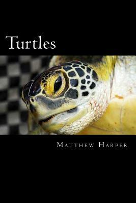 Turtles: A Fascinating Book Containing Turtle Facts, Trivia, Images & Memory Recall Quiz: Suitable for Adults & Children by Matthew Harper