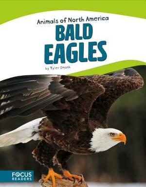 Bald Eagles by Tyler Omoth