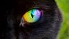 kristina_simon's profile picture