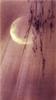 lylah_7's profile picture