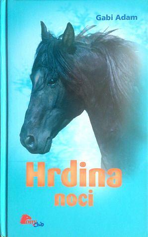 Hrdina noci by Gabi Adam