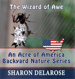 The Wizard of Awe: An Acre of America Backyard Nature Series by Sharon Delarose