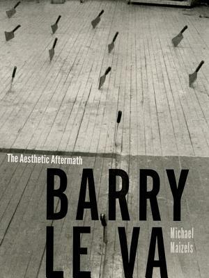 Barry Le Va: The Aesthetic Aftermath by Michael Maizels