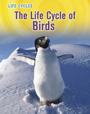 The Life Cycle of Birds by Susan H. Gray