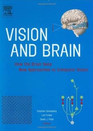 Vision And Brain: How The Brain Sees: New Approaches To Computer Vision by Stephen Grossberg