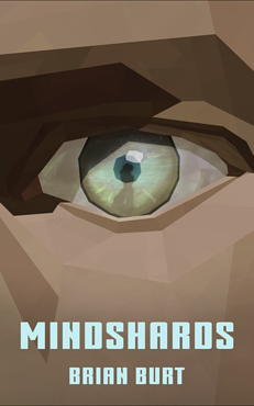 Mindshards: A Collection by Brian Burt