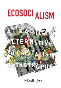 Ecosocialism: A Radical Alternative to Capitalist Catastrophe by Michael Löwy