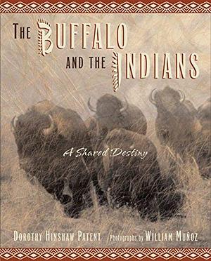 The Buffalo and the Indians: A Shared Destiny by Dorothy Hinshaw Patent