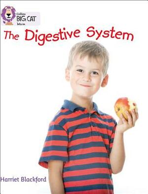 The Digestive System by Harriet Blackford