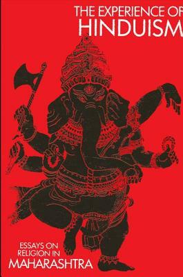 The Experience of Hinduism by 