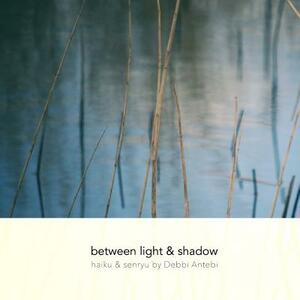 between light & shadow: haiku & senryu by Debbi Antebi