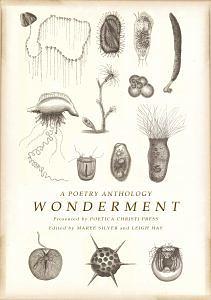 Wonderment by Leigh Hay, Maree Silver, David Hay