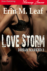 Love Storm by Erin M. Leaf