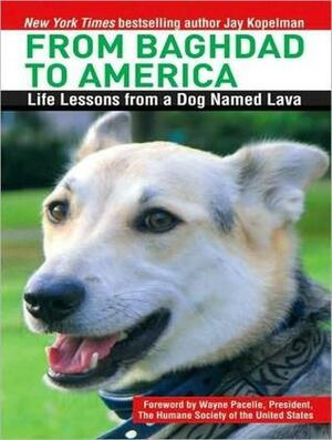 From Baghdad to America: Life Lessons from a Dog Named Lava by Jay Kopelman, Christopher Lane