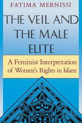 The Veil and the Male Elite: A Feminist Interpretation of Women's Rights in Islam by Fatema Mernissi
