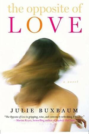 Opposite of Love by Julie Buxbaum