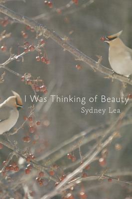 I Was Thinking of Beauty by Sydney Lea
