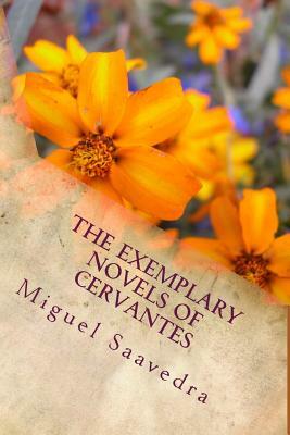 The Exemplary Novels of Cervantes by Miguel de Cervantes