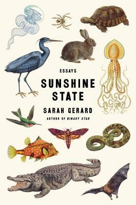 Sunshine State: Essays by Sarah Gerard