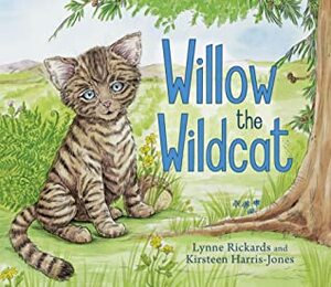Willow the Wildcat by Lynne Rickards, Kirsteen Harris-Jones