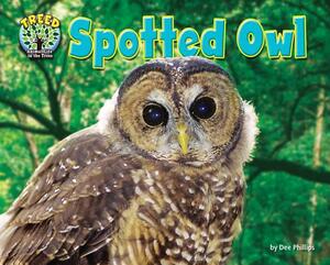 Spotted Owl by Dee Phillips