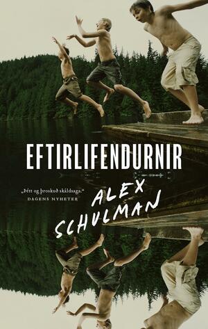 Eftirlifendurnir by Alex Schulman