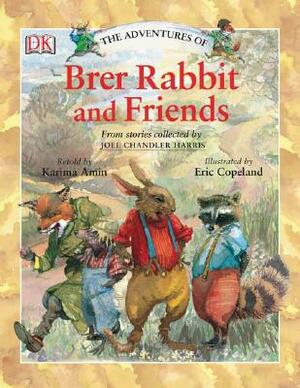 The Adventures of Brer Rabbit and Friends by D.K. Publishing