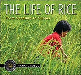 The Life of Rice: From Seedling to Supper by Richard Sobol