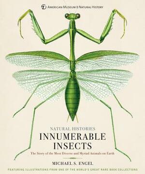 Innumerable Insects: The Story of the Most Diverse and Myriad Animals on Earth by Michael S. Engel