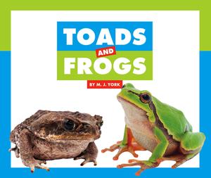 Toads and Frogs by M. J. York