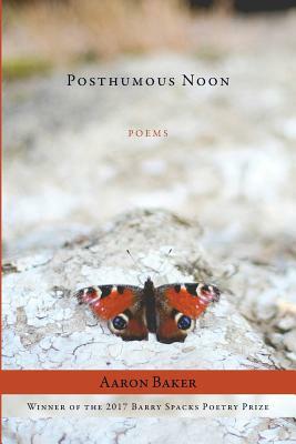 Posthumous Noon by Aaron Baker