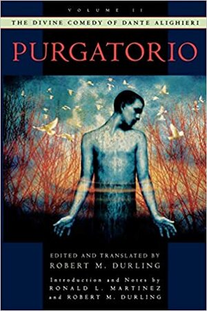 Jumalik komöödia. Purgatoorium by Märt Väljataga, Ülar Ploom, Dante Alighieri, Külli Habicht