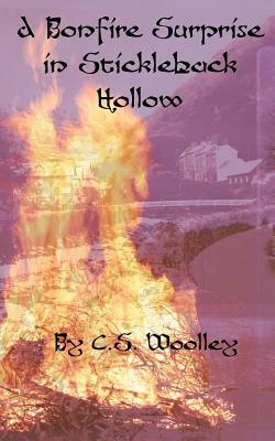 A Bonfire Surprise in Stickleback Hollow by C.S. Woolley