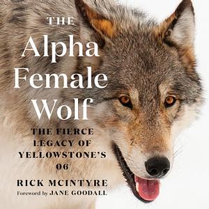 The Alpha Female Wolf: The Fierce Legacy of Yellowstone's 06 by Rick McIntyre