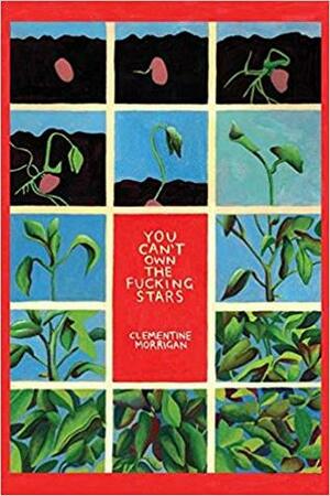 You Can't Own the Fucking Stars: Collected Writings on Trauma, Addiction, Recovery, and Transformation by Clementine Morrigan