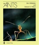 The Ants by Edward O. Wilson, Bert Hölldobler