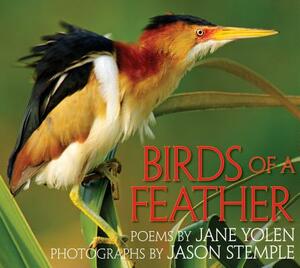 Birds of a Feather by Jane Yolen