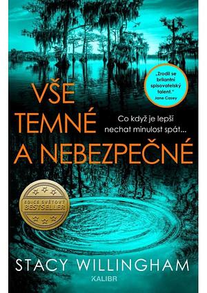 Vše temné a nebezpečné by Stacy Willingham