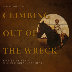 Climbing Out of the Wreck: A Survivor's Tale by Christine Stein