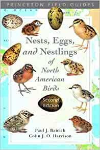 Nests, Eggs, and Nestlings of North American Birds by Paul J. Baicich