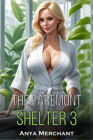 The Faremount Shelter 3 by Anya Merchant