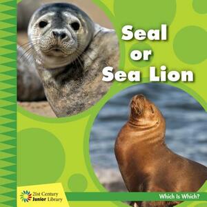 Seal or Sea Lion by Tamra Orr