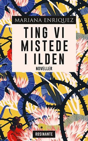 Ting vi mistede i ilden by Mariana Enríquez