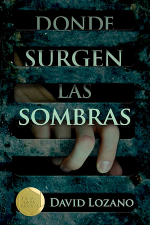 Donde surgen las sombras by David Lozano Garbala