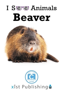 Beaver by August Hoeft