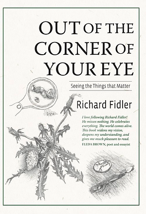 Out of the Corner of Your Eye: Seeing the Things That Matter by Richard Fidler
