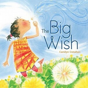 The Big Wish by Carolyn Conahan