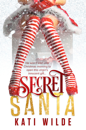 Secret Santa by Kati Wilde