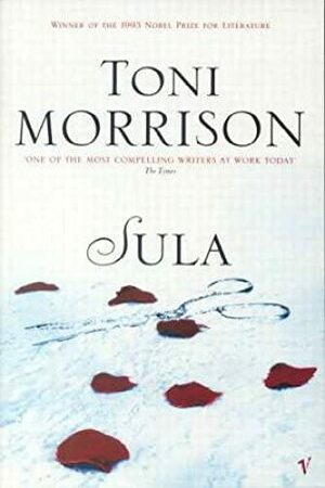Sula by Toni Morrison
